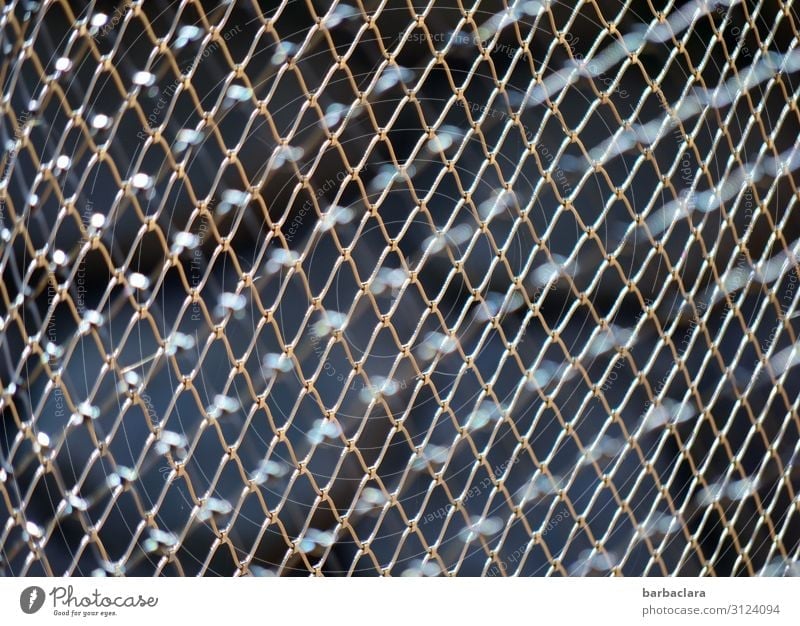 lost boundless freedom Fence Wire netting fence Metal Line Network Dark Sharp-edged Strong Silver Emotions Disappointment Testing & Control Protection Safety