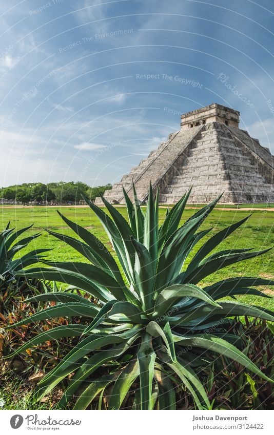 Pyramid of Kukulcan Vacation & Travel Sightseeing Ruin Old Aloe aloe plant Ancient ancient building Central America Chichen Itza landmark Maya mayan