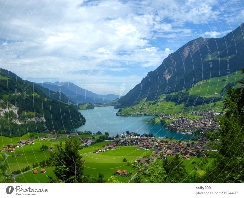 excursion weather... Vacation & Travel Tourism Trip Hiking Summer Beautiful weather Alps Lake Lungernsee Switzerland Village Colour photo Exterior shot Day