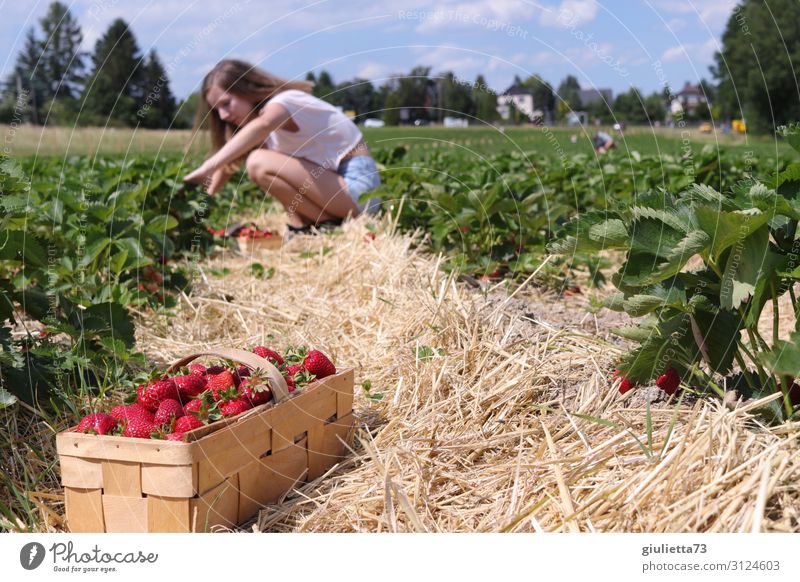 Fingertip sensitivity during strawberry harvest ;) Feminine Girl Young woman Youth (Young adults) 1 Human being 13 - 18 years Spring Summer Beautiful weather
