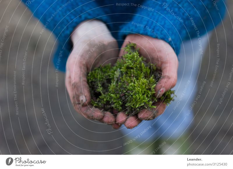 Moss in the hand 1 Human being 8 - 13 years Child Infancy 13 - 18 years Youth (Young adults) Art Environment Nature Climate Climate change Utilize To hold on