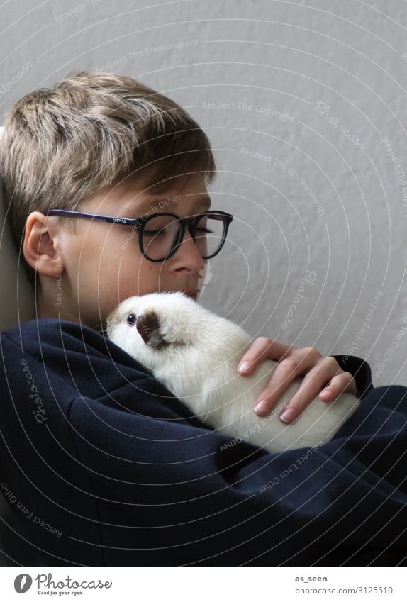 tenderness Boy (child) Infancy Youth (Young adults) 1 Human being 13 - 18 years Animal Pelt Guinea pig To hold on Authentic Friendliness Cute Gray Black White