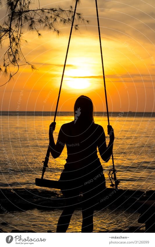 Swinging in Vietnam Contentment Relaxation Calm Meditation Vacation & Travel Far-off places Freedom Summer Nature Ocean Moody Happy Serene To swing