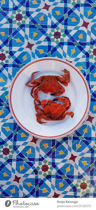 crabs Slow food Breton cuisine crustaceans Lifestyle Summer vacation Ocean pleasure trip Restaurant Eating Success Kitchen Gastronomy To talk Team Couple