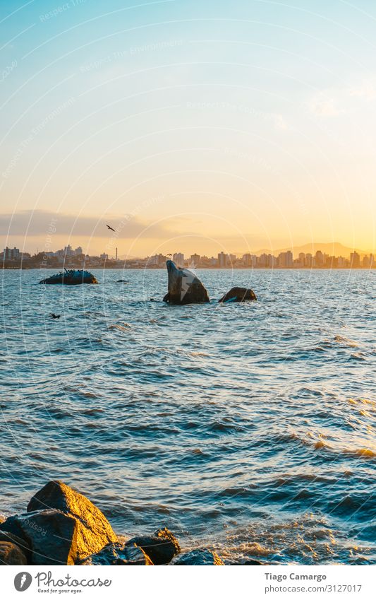 Dolphin rock in Florianopolis, Brazil Environment Nature Water Sky Sun Sunrise Sunset Beautiful weather Waves Coast Contentment Relaxation Wellness Colour photo