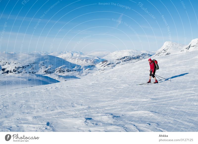 Skiers in nordic glacier landscape Vacation & Travel Far-off places Winter Snow Winter vacation Mountain Winter sports Skiing Young man Youth (Young adults)