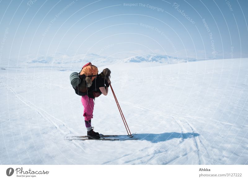 Young heavy loaded skier with pink pants and orange backpack enjoys snowy nordic mountain panorama and rests on her ski poles Winter Adventure Hiking To enjoy