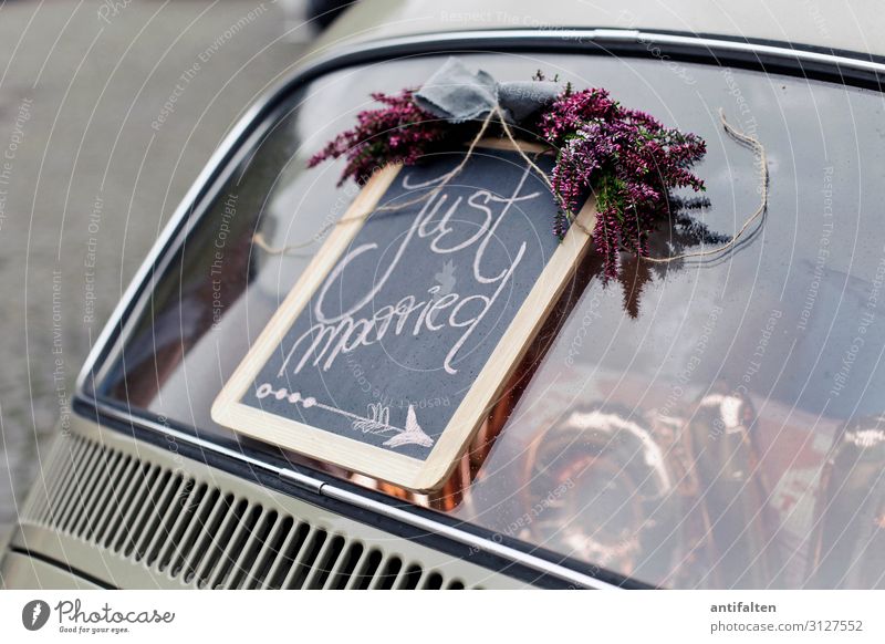 just married Lifestyle Event Wedding Car Glass Sign Characters Signs and labeling Bow Arrow Bouquet Communicate Emotions Joy Happy Happiness