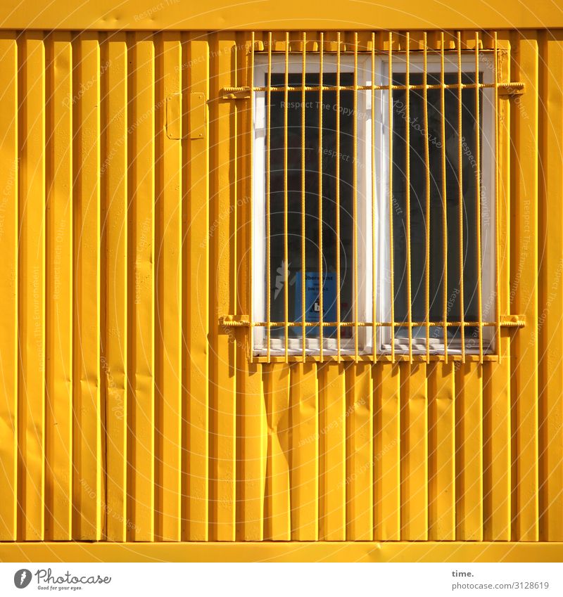 seal Living or residing Manmade structures Wall (barrier) Wall (building) Window window grilles Grating Container Metal Line Stripe Yellow Protection