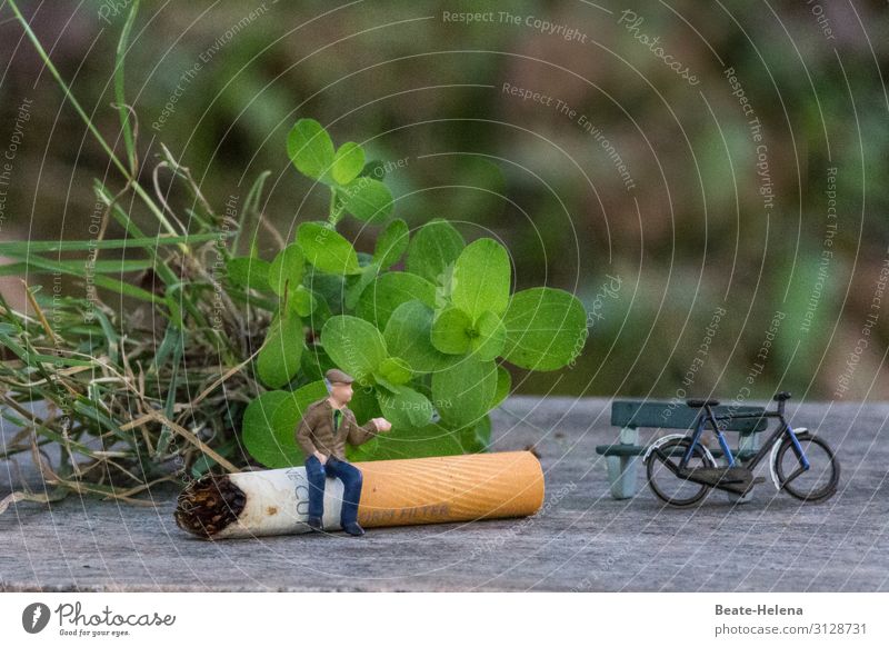cigarette break Lifestyle Athletic Leisure and hobbies Cycling Trip Cycling tour Sports Fitness Sports Training Masculine Grass Bushes Park bench Lanes & trails