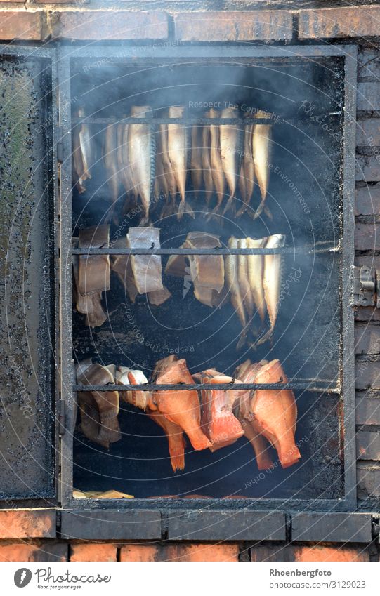 Smoking fish in the smoking oven Food Fish Seafood Nutrition Eating Lunch Work and employment Catch Looking Colour photo Day Central perspective