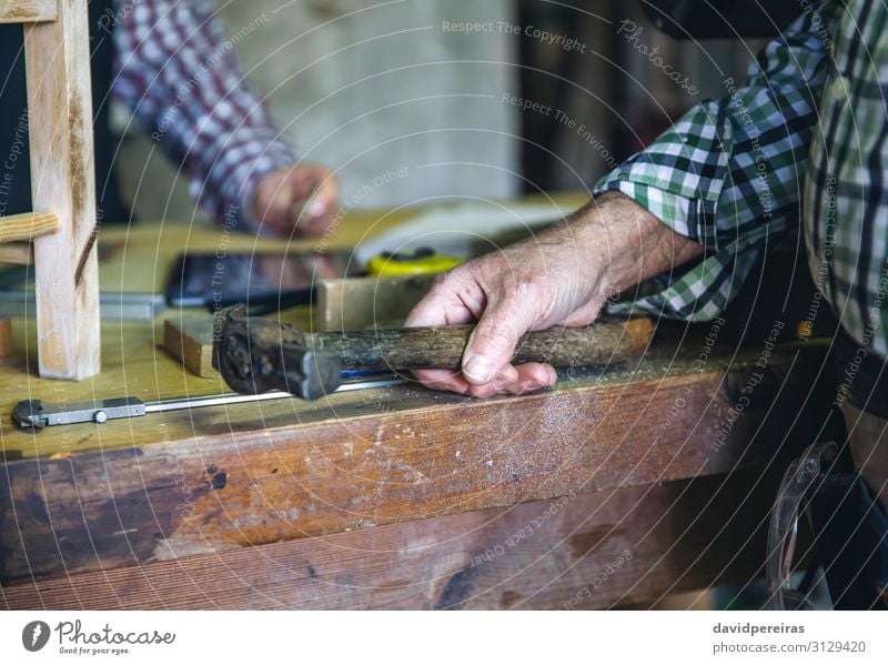 Carpenter's hand holding a hammer Leisure and hobbies Work and employment Profession Business Hammer Human being Woman Adults Man Couple Hand Make Workbench