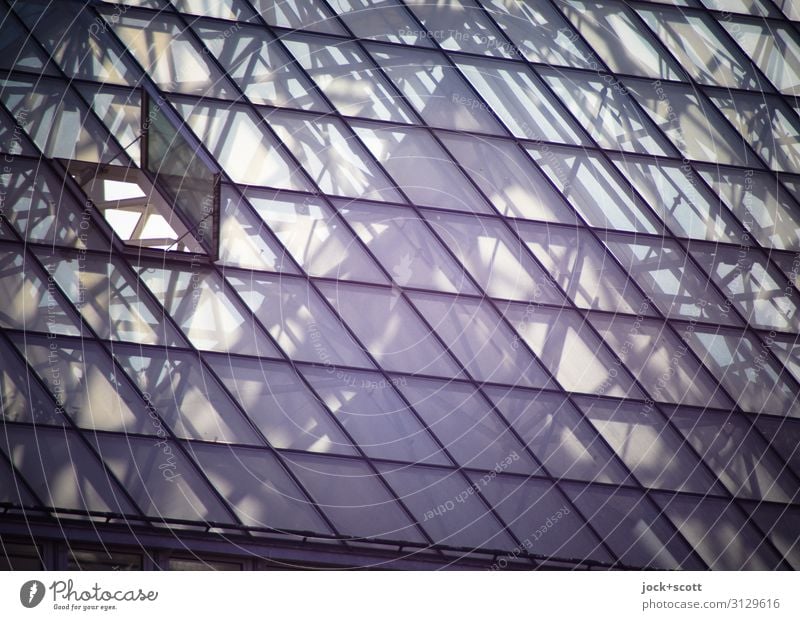 vitreous Glass roof Hatch Atrium Network Triangle Surface Sharp-edged Modern Above Protection Secrecy Esthetic Complex Construction Transparent Geometry