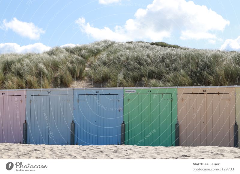 colorful beach huts at the beach of Oostkapelle, Netherlands Style Happy Relaxation Vacation & Travel Tourism Trip Freedom Summer Summer vacation Sun Beach