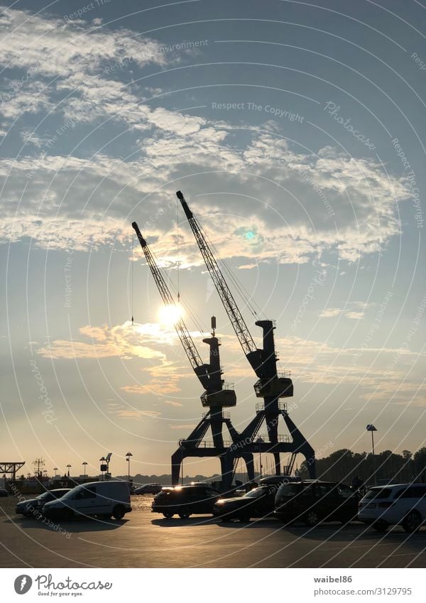 Sunset in the Rostock harbour at the docks with cranes Tourism Trip Sightseeing City trip Summer Profession Construction site Logistics Industry Sky Clouds
