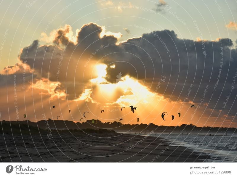Kitesurfing in the sunset at the North Sea Surfing Kiting Vacation & Travel Tourism Adventure Freedom Summer vacation Waves Nature Landscape Water Sky Clouds