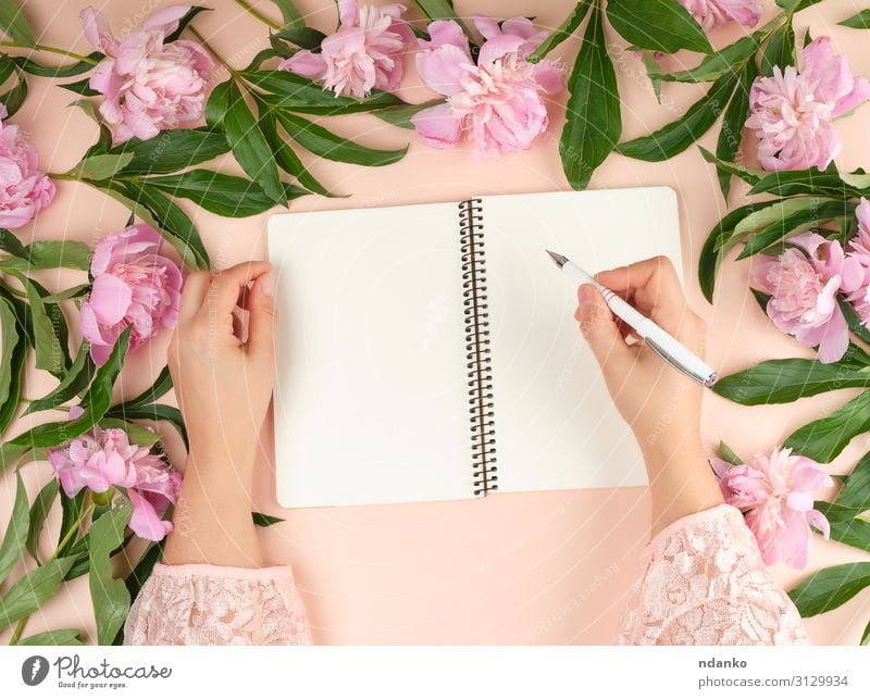open empty notebook and two female hands Design Decoration Table Birthday Workplace Office Business Woman Adults Hand Book Nature Flower Paper Pen Bouquet Write