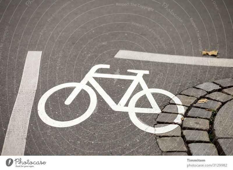Could be tight... Street Asphalt mark Bicycle Curve paving lines Pictogram Orientation Deserted Colour photo