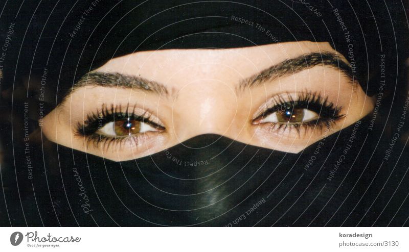 arabia eyes Arabia Eyebrow Packaged Eyelash Woman Eyes