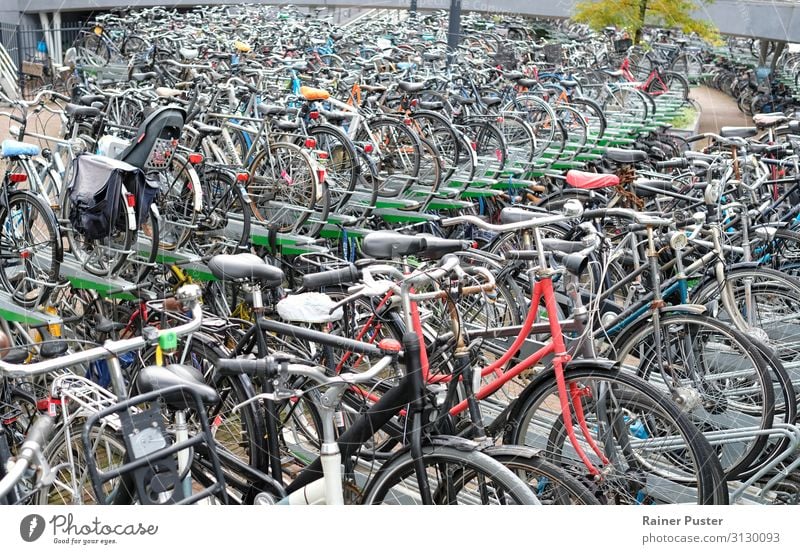 Numerous bicycles on a special parking lot in Rotterdam Bicycle Netherlands Parking garage Parking lot Cycling Street Metal Steel Driving Gray Black