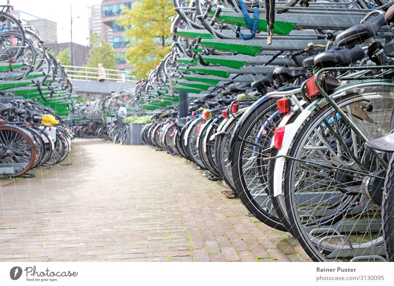 Bicycle parking in Rotterdam Town Downtown Parking lot Cycling Street Metal Steel Gray Green Black Leisure and hobbies Colour photo Exterior shot