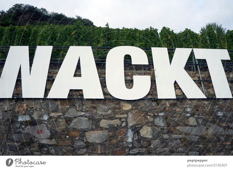 Naked Beverage Wine Tourism Sky Tree Hill Rock Vineyard Kroev Wall (barrier) Wall (building) Tourist Attraction Landmark Stone Characters Signs and labeling