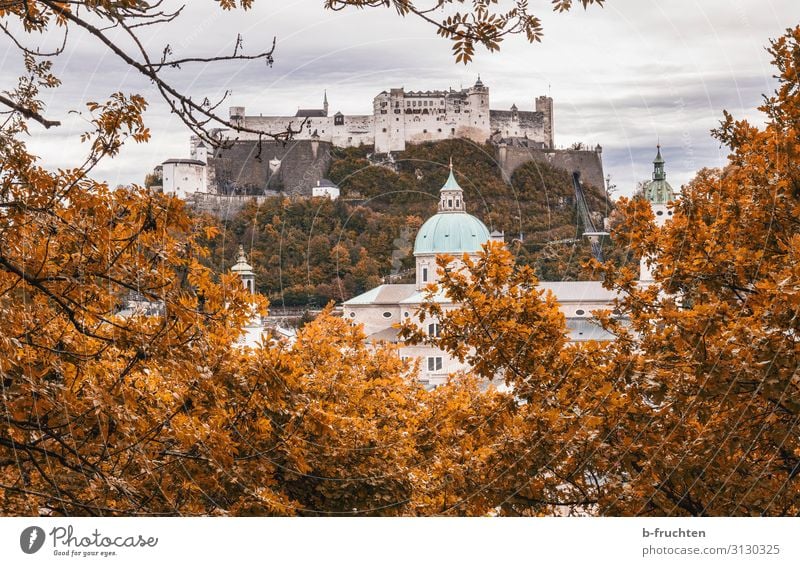 Hohensalzburg Fortress Vacation & Travel Sightseeing City trip Nature Clouds Autumn Plant Bushes Hill Town Church Dome Castle Roof Tourist Attraction Landmark