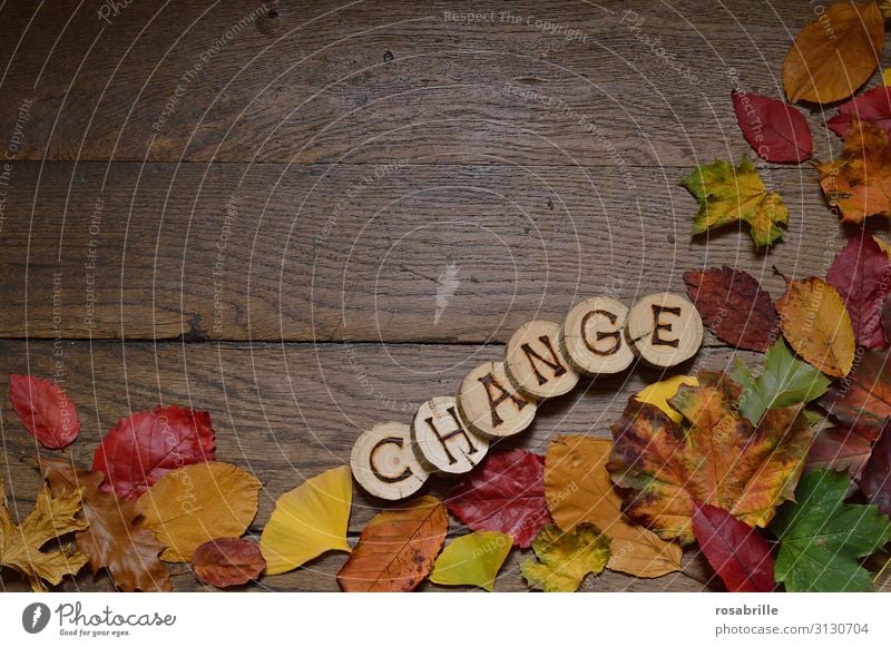 change Nature Autumn Leaf Wood Brown Yellow Green Orange Red Flexible Beginning Climate Complex Environment Transience Change Autumn leaves Seasons Limp Dyeing