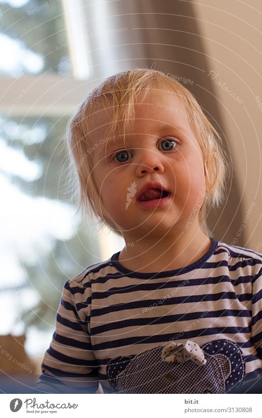 Blond, interested, curious child in a blue striped shirt, at home in front of a bright window with light, looks into the camera. Gobble-eyed, sweet tooth watches, spellbound, expectant the family. Dreamy toddler dreams daydream