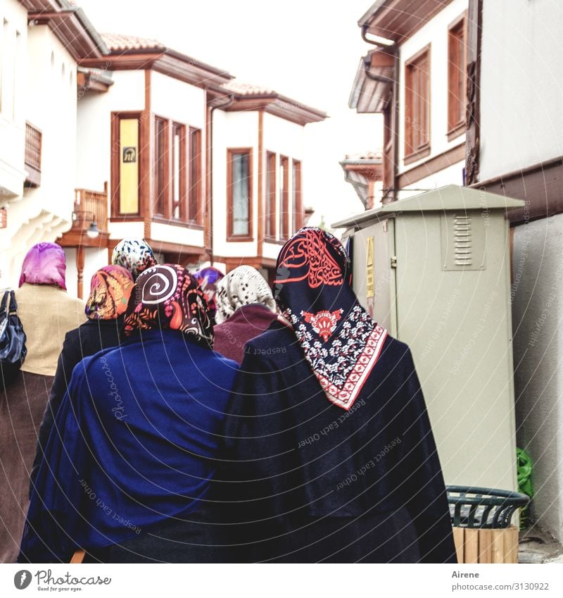 girls' afternoon Woman Adults Family & Relations Friendship Head Back Upper body Group Ankara Capital city Old town Populated House (Residential Structure)