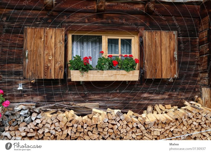 Beautiful geranium on the window of a wooden house Box Architecture Exterior shot Window Flower Geranium Decoration Glass House (Residential Structure)