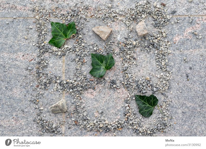 Tic Tac Toe Playing Children's game Nature Ivy Pebble Stone Line Uniqueness Natural Joy Calm Pure Planning Leaf Creativity Colour photo Deserted Day