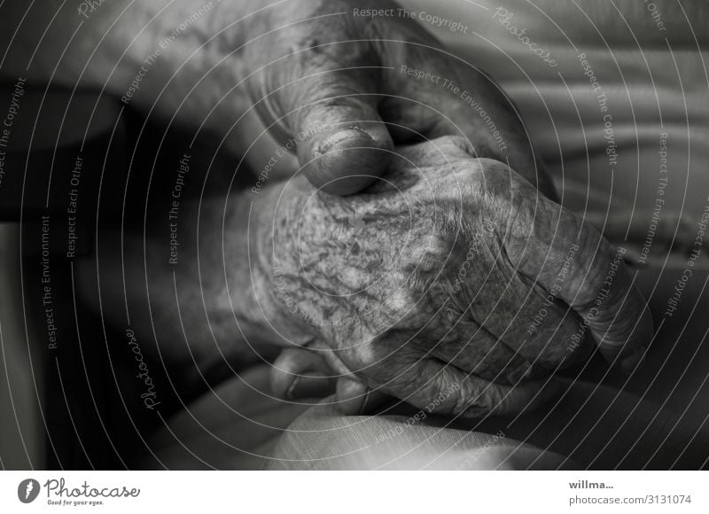 Two hands of old people, togetherness Female senior Woman Male senior Man Partner Senior citizen Hand Fingers age spots Wrinkle 60 years and older Old Hope