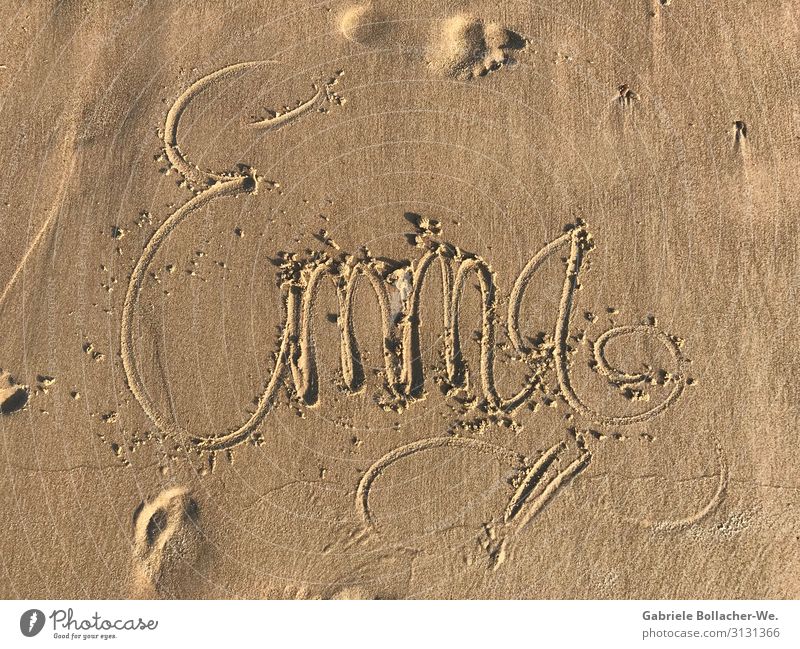 sandwriting Sand Beautiful weather Beach Characters Write Esthetic Happy Joy Colour photo Subdued colour Exterior shot Deserted Day Front view