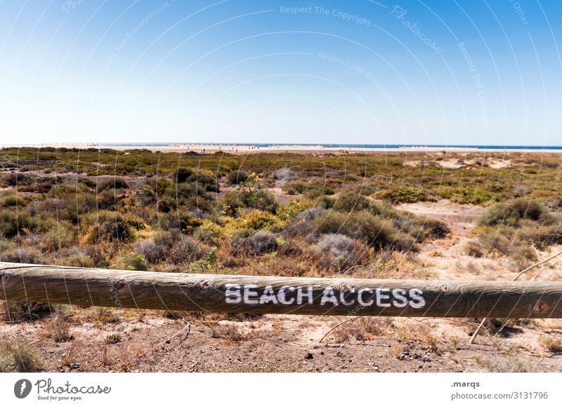 access granted Vacation & Travel Far-off places Summer Nature Horizon Beach Relaxation Sky Sand Beautiful weather Cloudless sky Landscape Summer vacation