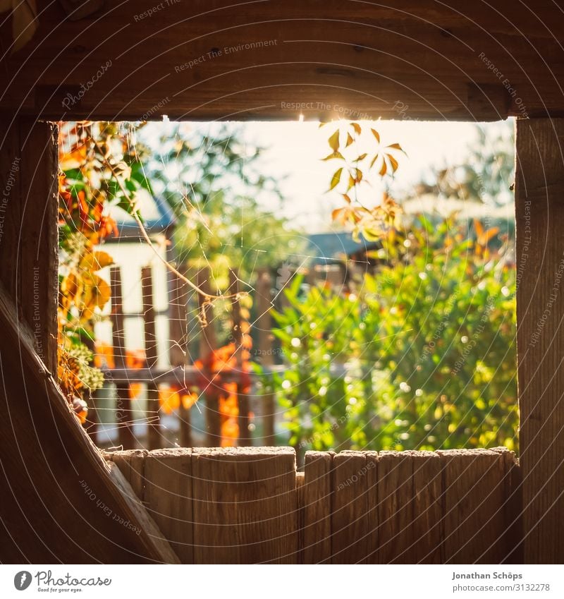 View through a wooden door in the garden in autumn Autumn Architecture Background picture Beautiful Barn Scales Storage shed Multicoloured Copy Space top