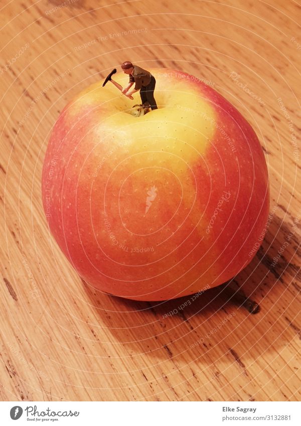 The future of genetic engineering Fruit Apple Work and employment Advancement Threat To enjoy Multicoloured Interior shot Copy Space top Copy Space bottom