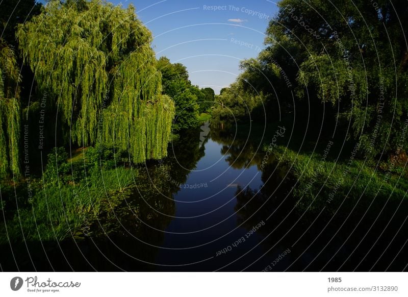 flux mirroring Nature Landscape Water Cloudless sky Summer Beautiful weather Tree River bank Exceptional Blue Green Serene Calm Life Hope Infinity Reflection