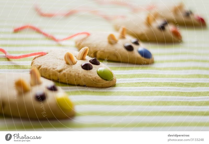 Cookies with mouse shaped and red licorice tail Dessert Decoration Group Pet Mouse Fresh Delicious Tradition food Tablecloth sweet Snack biscuit peanuts