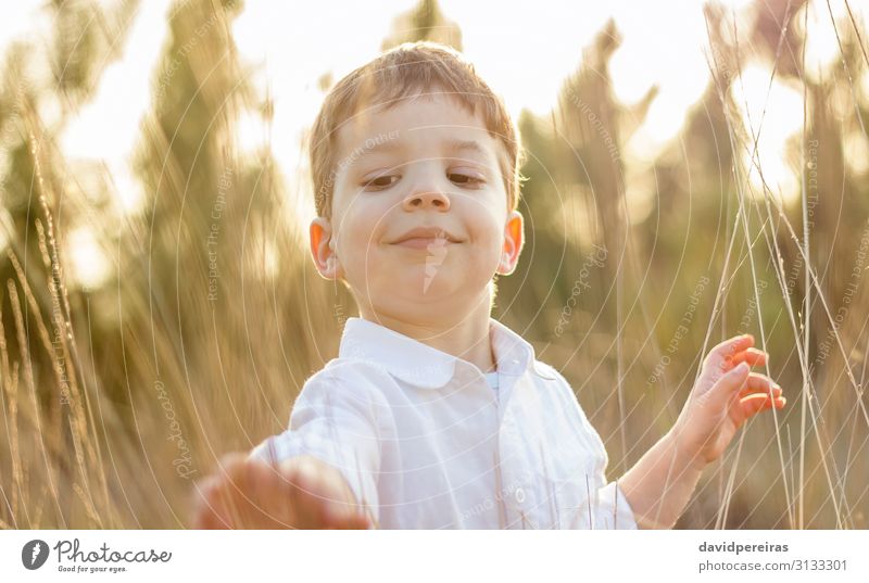 Kid in field playing with spikes at summer sunset Lifestyle Joy Happy Beautiful Leisure and hobbies Playing Freedom Summer Sun Child Human being Boy (child)