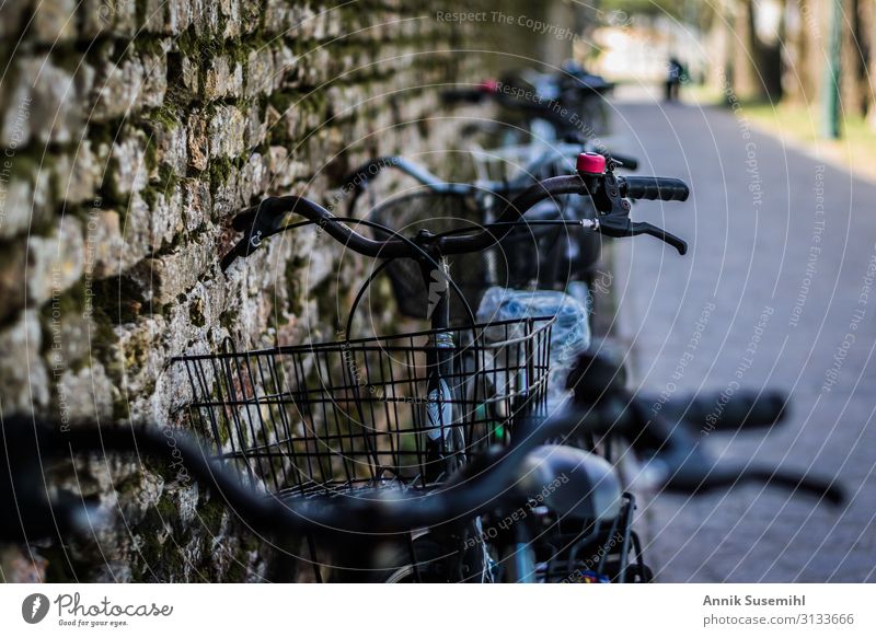 Bicycles on a rough brick wall. Sports Cycling Village Outskirts Wall (barrier) Wall (building) Steel Rust Leather Diet Work and employment Utilize Driving