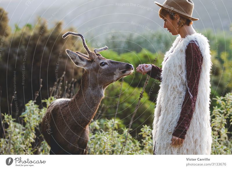 A young blonde boho woman with a deer Lifestyle Elegant Style Design Exotic Joy Human being Feminine Young woman Youth (Young adults) Woman Adults 1