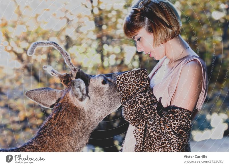 A young woman with a deer in the woods Lifestyle Elegant Style Human being Feminine 1 18 - 30 years Youth (Young adults) Adults Nature Animal Climate Exotic