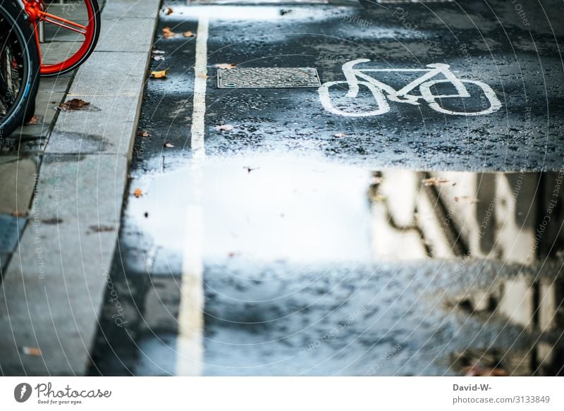 cycle path Bicycle Cycle path off Cycling Wheel ways Puddle reflection Cycling tour Street Transport Driving Road traffic Exterior shot Means of transport