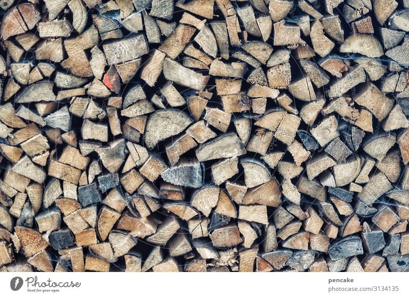pile up Collection Wood Design Sustainability Nature Thrifty Survive Stack of wood Supply Winter Heat Colour photo Subdued colour Exterior shot Close-up Detail