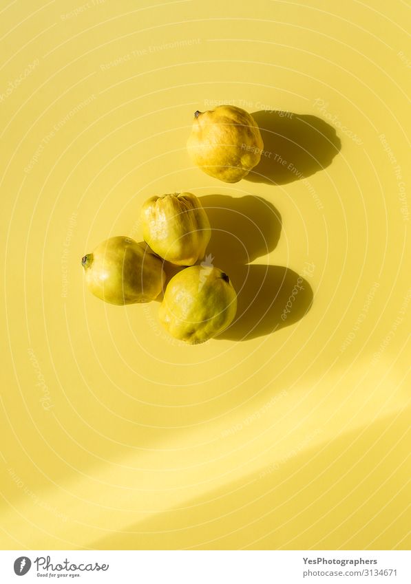 Four quince fruits on yellow background. Golden fall fruits Food Fruit Breakfast Healthy Eating Fresh Bright Delicious Natural Yellow Cydonia oblonga above view
