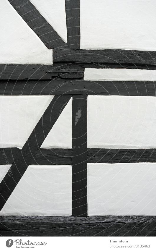 dead | but now a supporting role Wood lines Function Black White half-timbered Old Plaster