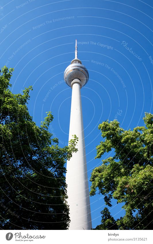 Television Tower Berlin Cloudless sky Summer Beautiful weather Tree Tourist Attraction Berlin TV Tower Authentic Tall Positive Thin Blue Green White Esthetic