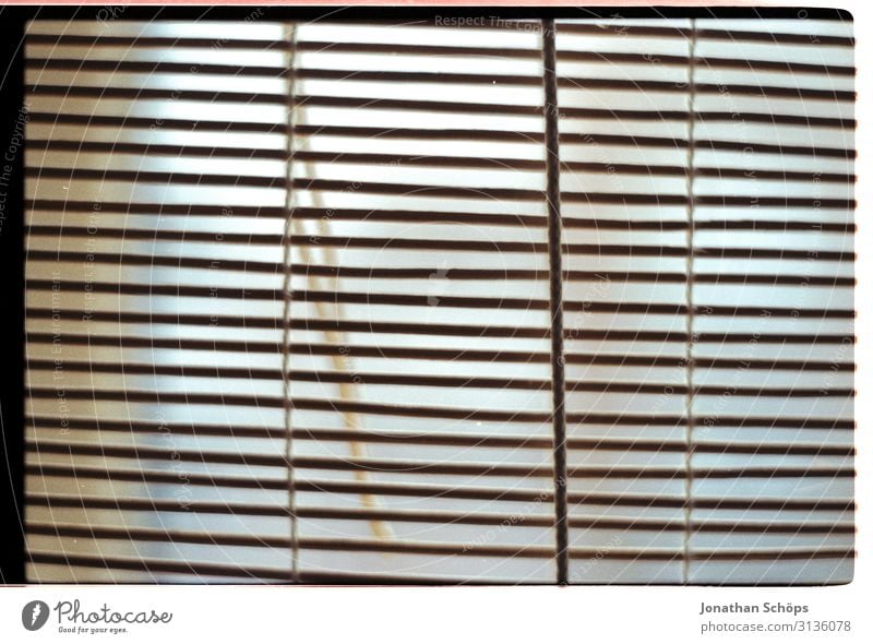 Shutter closed Colour photo Line Roller blind Simple Direct Within Interior shot Living or residing Venetian blinds Flat (apartment) Bleak Minimalistic Empty