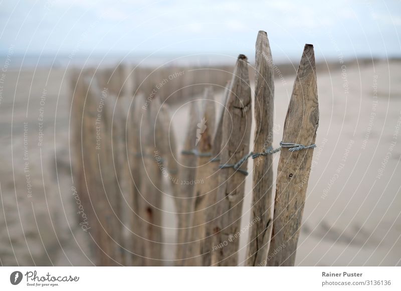 A close-up of a wooden fence on a dune on the Dutch coast Beach Ocean duene Scheveningen Netherlands Deserted Fence Fence post Blue Brown Yellow Calm